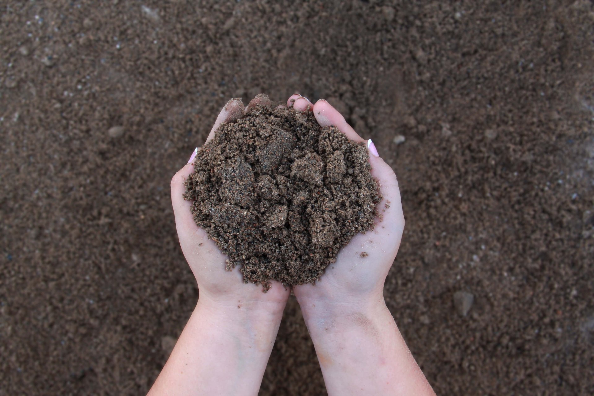 Premium soil