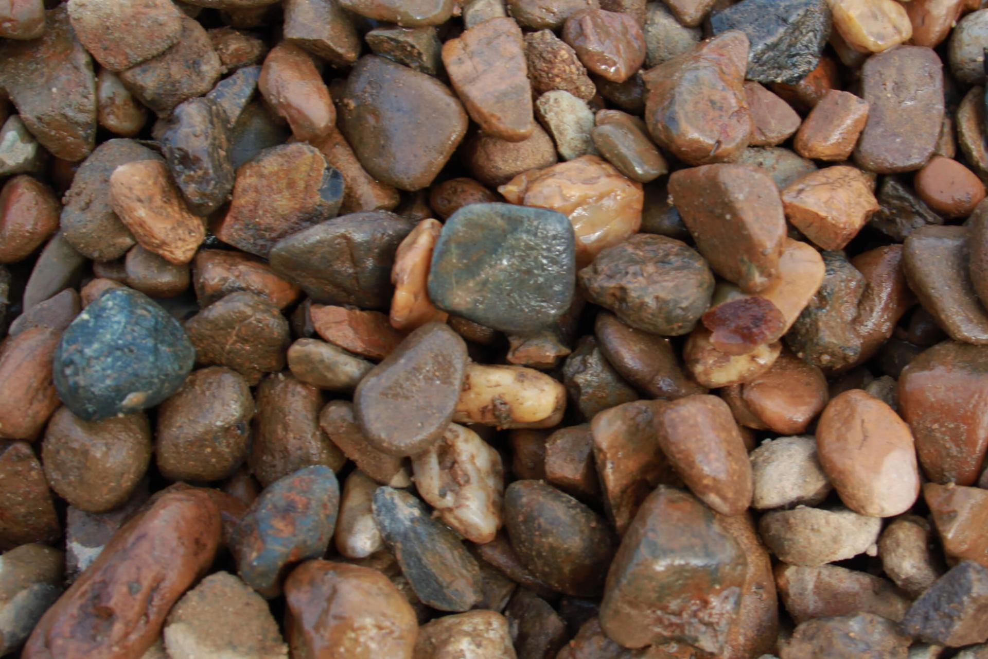 River stone variety