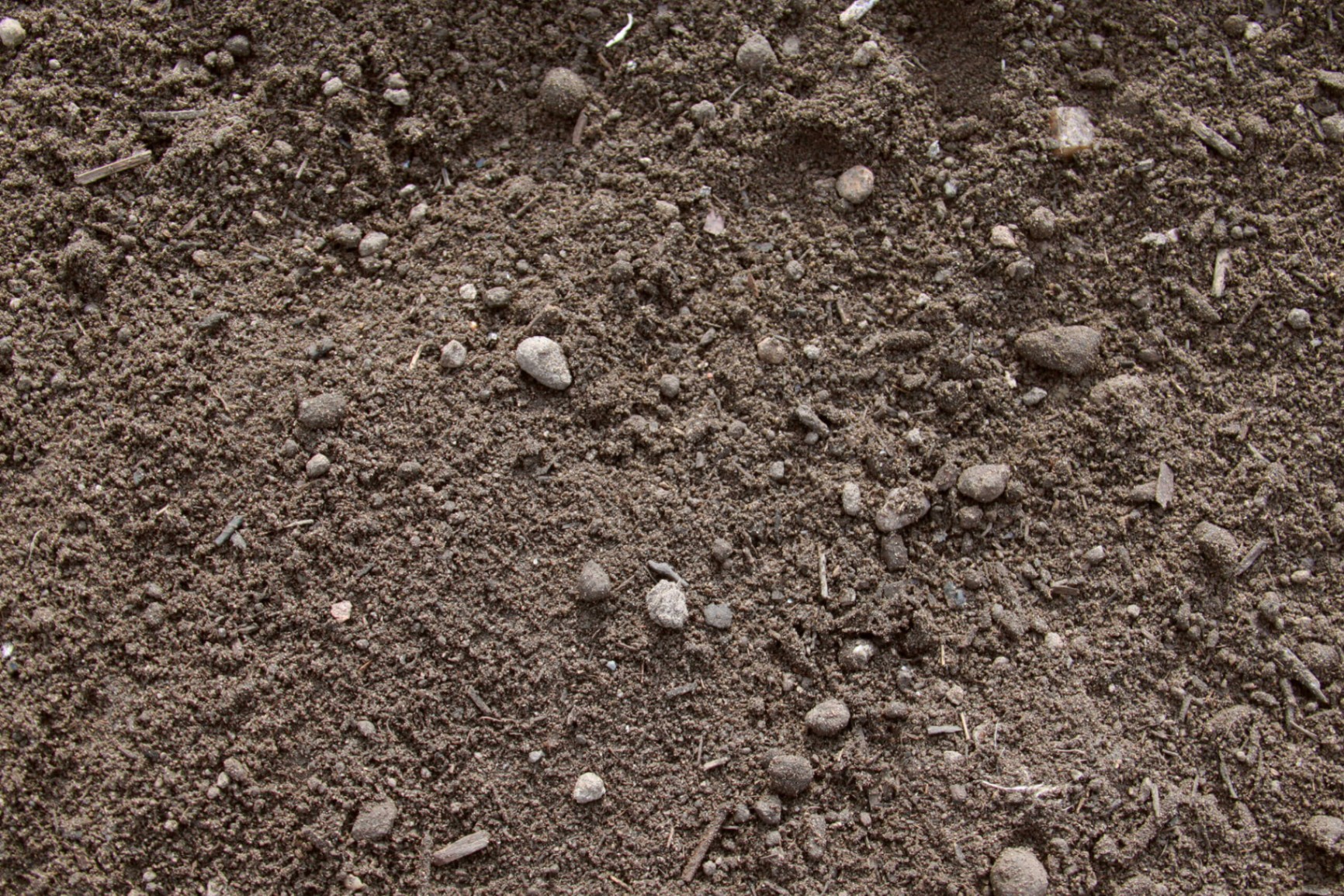SOIL