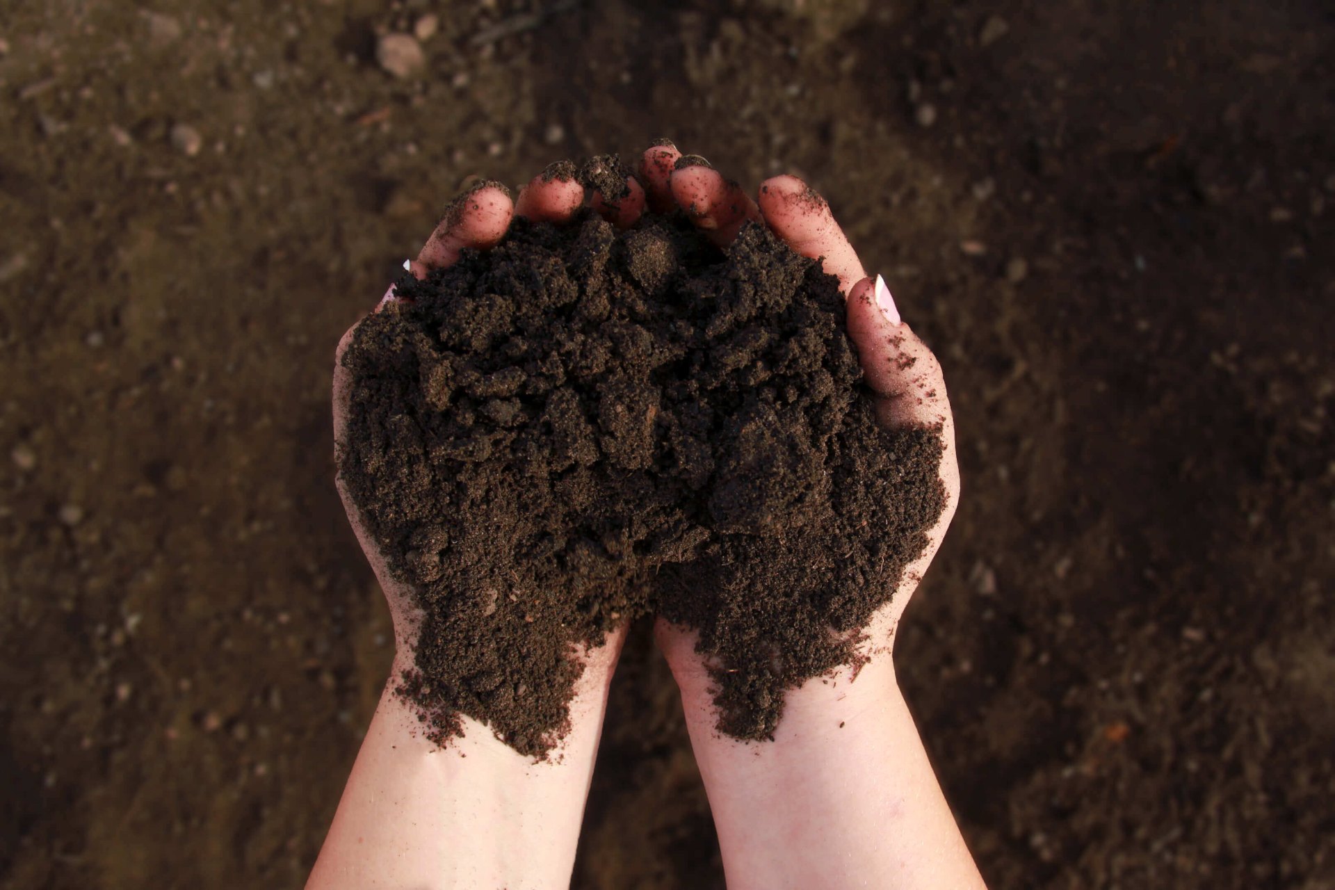 UNDER TURF SOIL