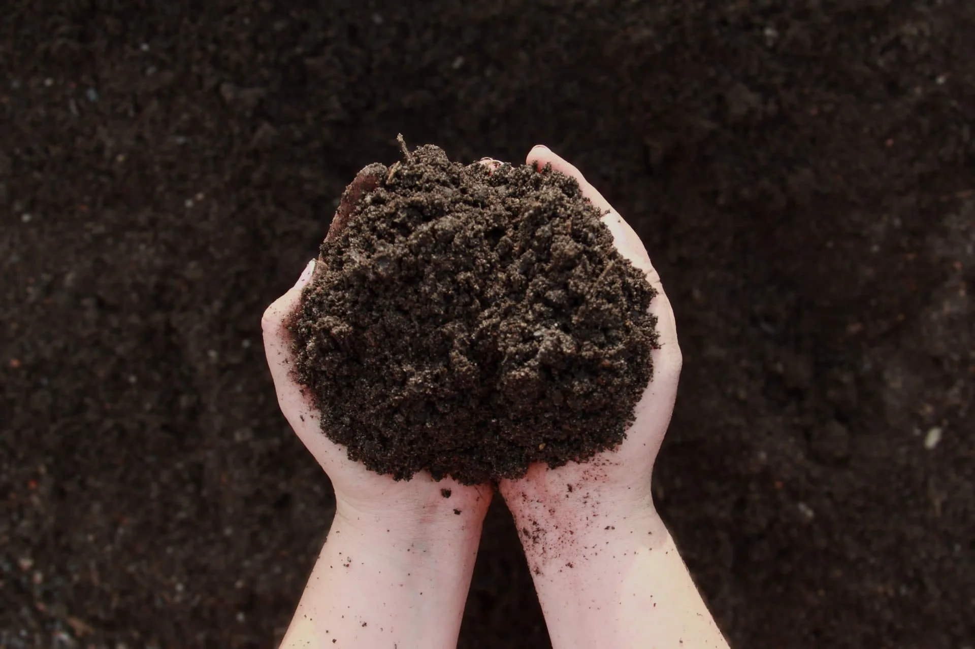 Veggie Mix Organic Garden Soil from Jimel Transport