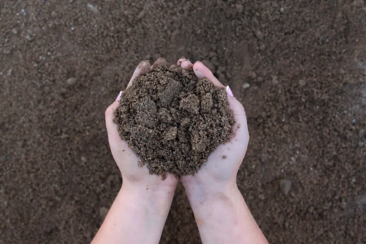 Garden soil from Jimel Transport