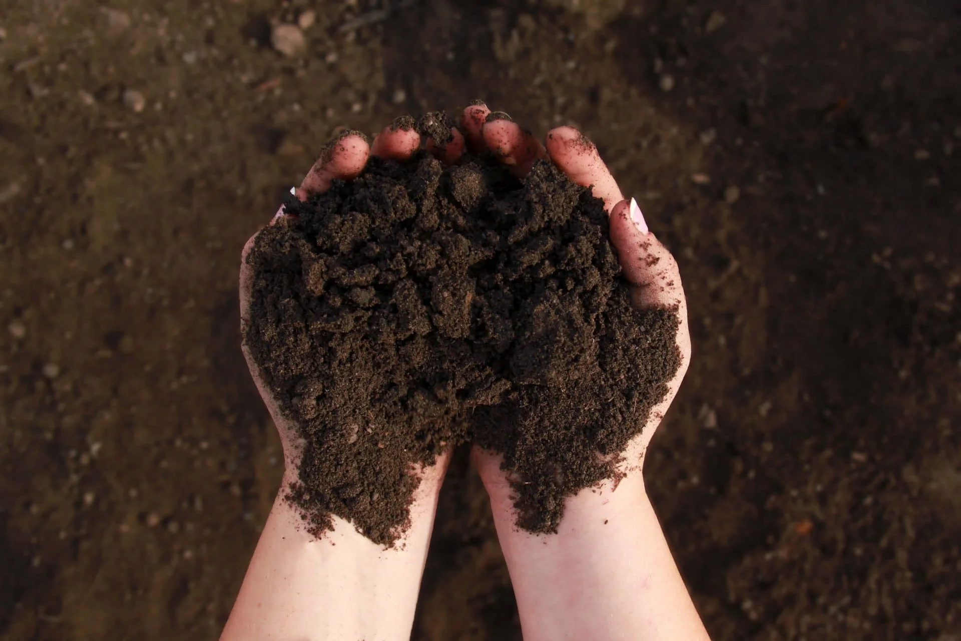 Under turf soil from Jimel Transport