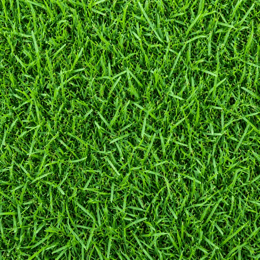 Turf range